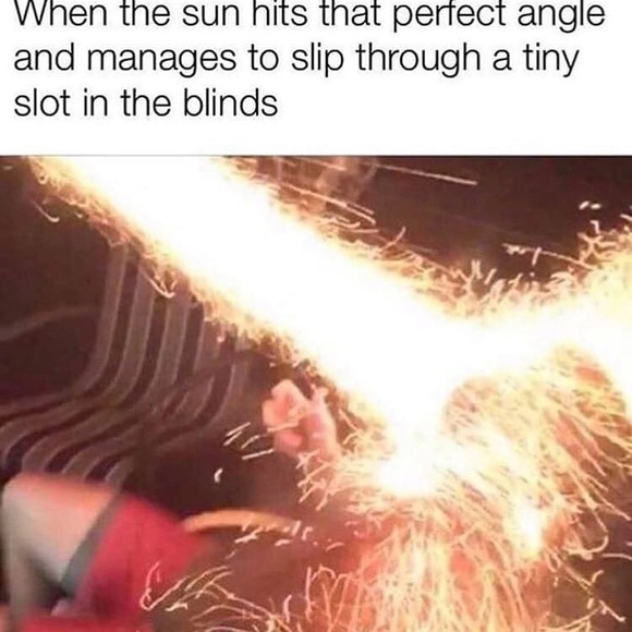 Meet your Posher, Shabba - Picture 5 of 7